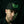 YEEUW Snapback | Green